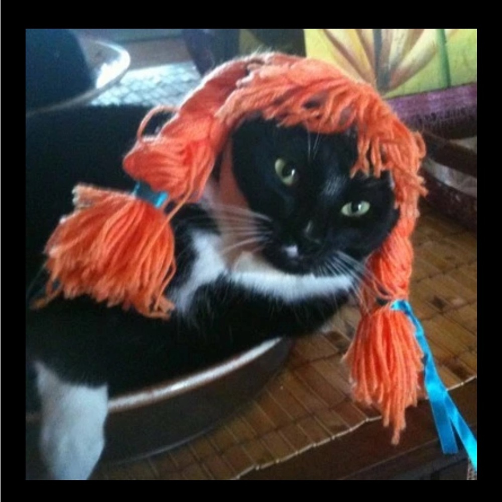 🔥Cat’s Wig Costume (for cats) Cats Goldie Locks Hair Wig W/Strap Under Chin